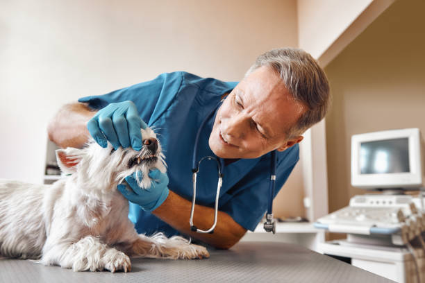 Best Emergency Treatment for Toothache in Twentynine Palms, CA